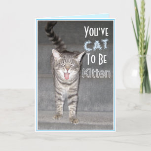 Happy 40th Birthday Funny Cat Card
