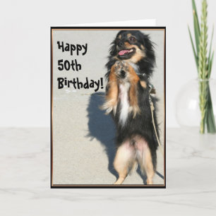 Happy 50th birthday Chihuahua greeting card