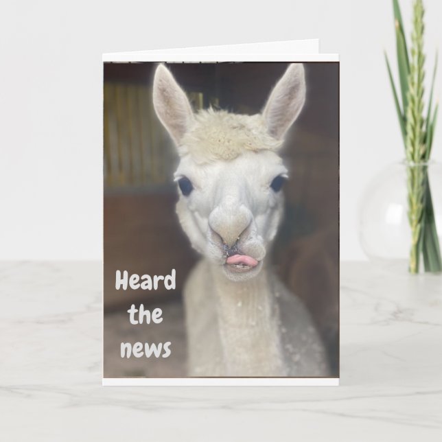 "HAPPY 50th  BIRTHDAY" from WIDE EYED LLAMA Card (Front)