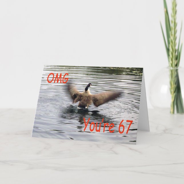 Happy 67th Birthday Goose flapping Card (Front)