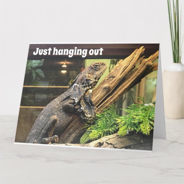 HAPPY "70th" BIRTHDAY TO MY "OLD SIBLING" Card (Front)