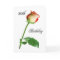 Happy 80th Birthday Rose