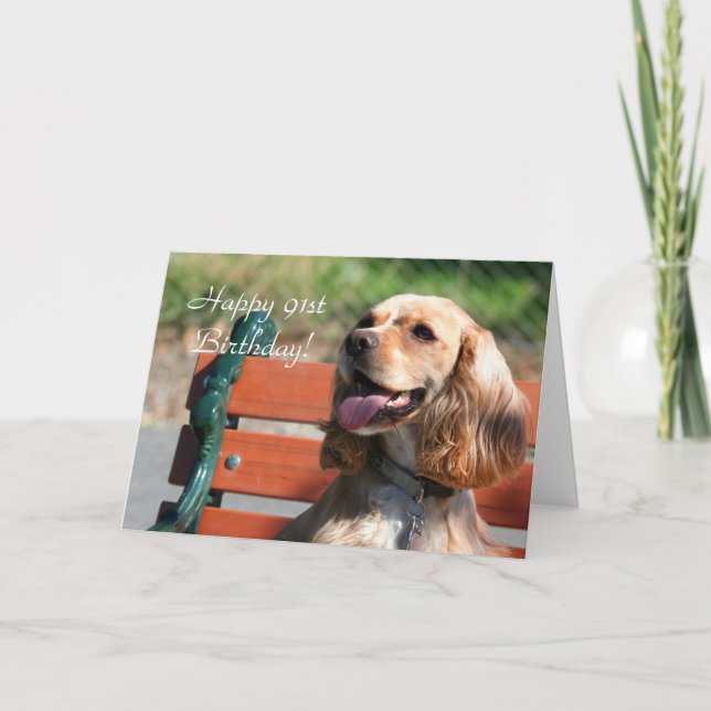 Happy 91st Birthday Cocker Spaniel Greeting Card (Front)