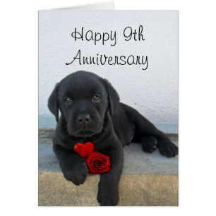 Happy 9th Anniversary Labrador puppy greeting card