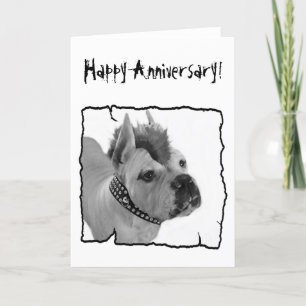 Happy Anniversary Boxer punk greeting card