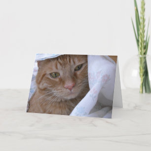 Happy Anniversary Card