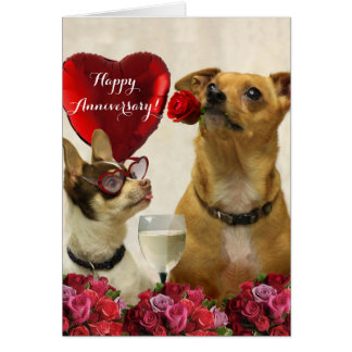 Happy Anniversary chihuahua dogs card