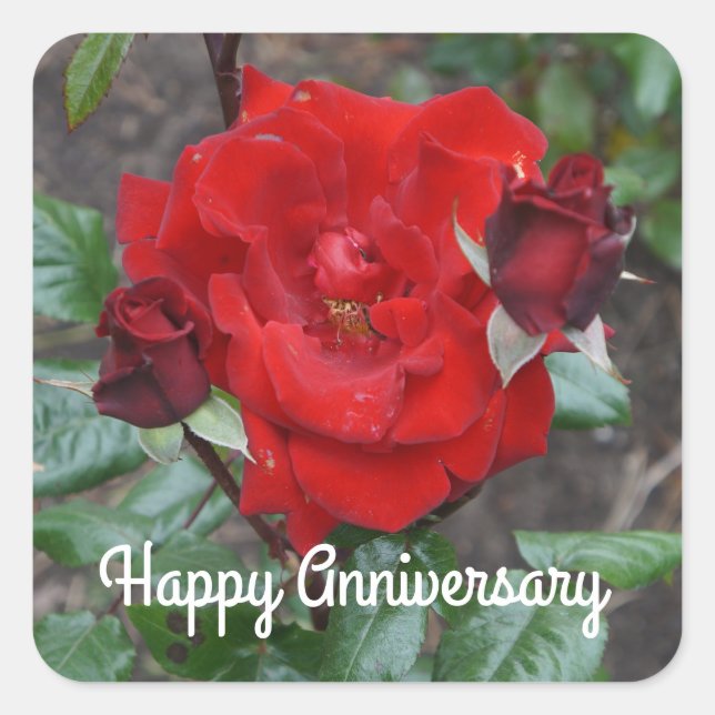 Happy Anniversary Crimson Bouquet Rose #1 Stickers (Front)