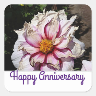Happy Anniversary Dahlia Edge of Joy #1-2 Stickers
