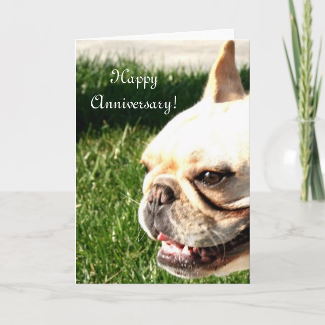Happy Anniversary French Bulldog greeting card (Front)