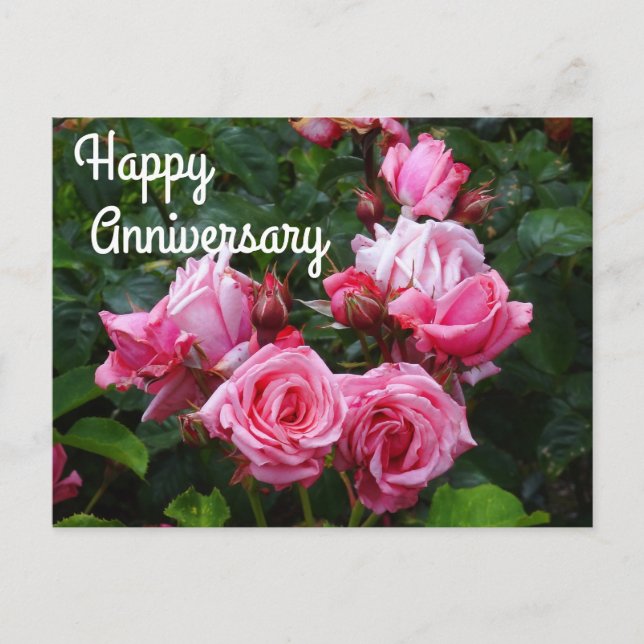 Happy Anniversary Gene Boerner Rose #1 Postcard (Front)