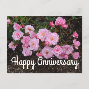 Happy Anniversary Jeanne LaJoie Rose #1 Postcard