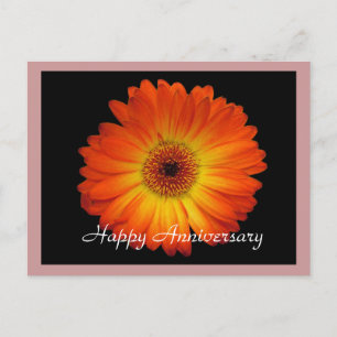 Happy anniversary orange gerbera daisy postcard
