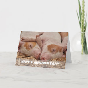Happy Anniversary Pig Custom Card