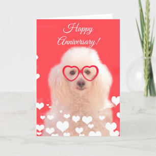 Happy Anniversary Poodle dog card