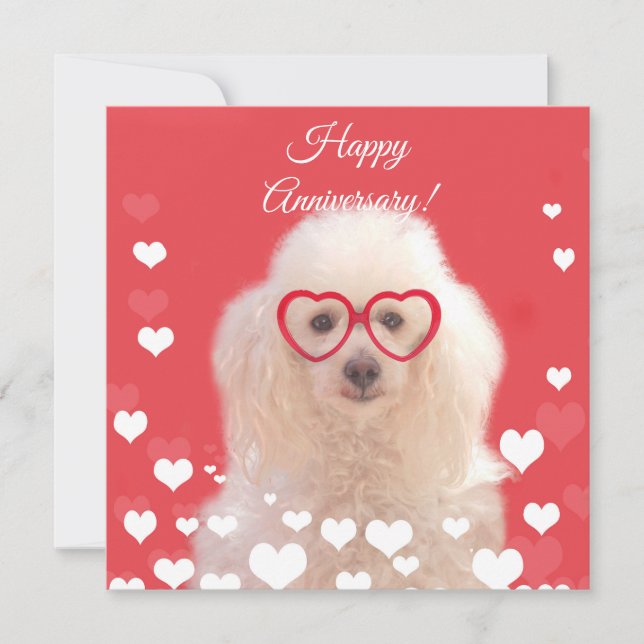 Happy Anniversary Poodle dog flat card (Front)