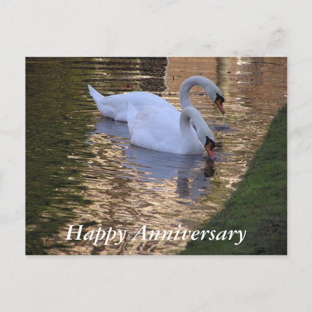 Happy Anniversary Postcard (Front)