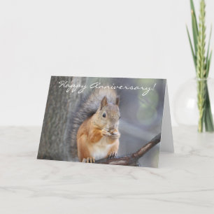 Happy Anniversary Red Squirrel greeting card