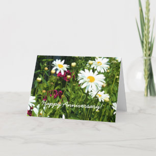 Happy Anniversary Shasta Daisy Greeting card