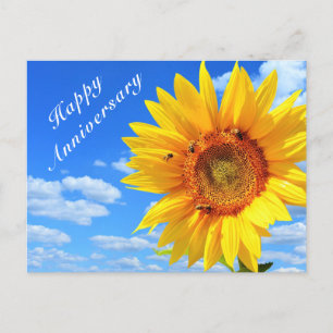 Happy Anniversary Sunflower and Bees on Blue Sky Postcard