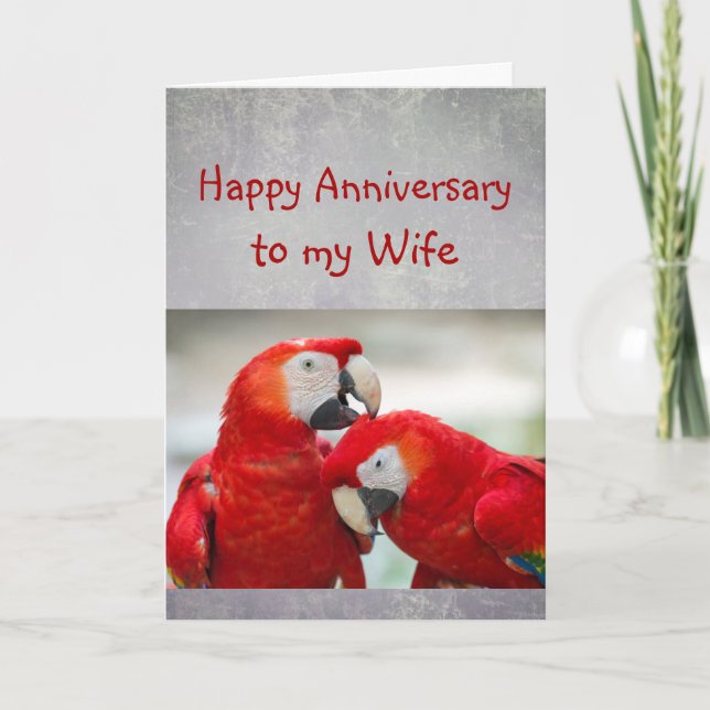 Happy Anniversary Sweetheart Parrot Wife Love  Card (Front)