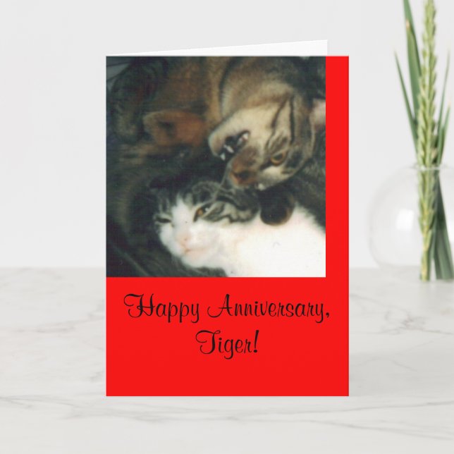 Happy Anniversary, Tiger! Card (Front)