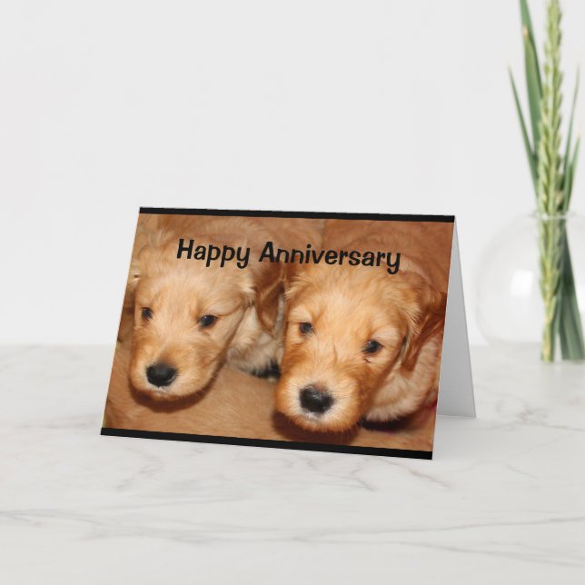 Happy Anniversary To A Dog-Gone Cute Couple Card (Front)