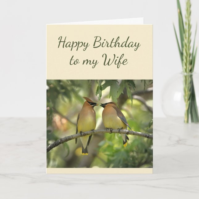 Happy Anniversary Wife Birds in Love Fun  Card (Front)