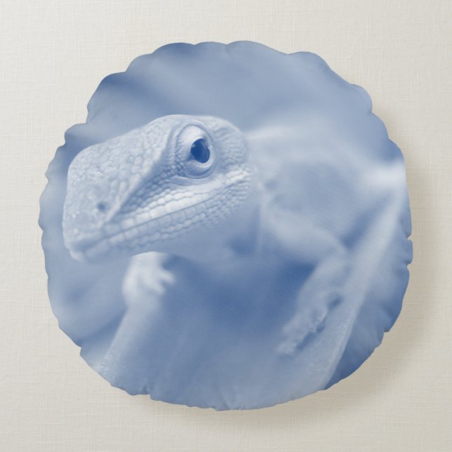 Happy Anole Round Pillow (Front)