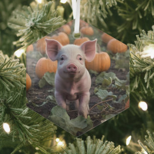 Happy As A Baby Pig In A Pumpkin Patch, Glass Ornament