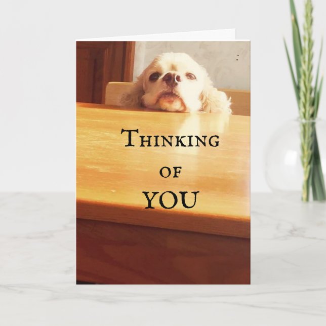 HAPPY ***AUGUST BIRTHDAY*** TO YOU! CARD (Front)