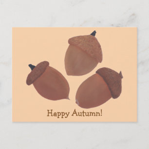 Happy Autumn Three Acorns Postcards