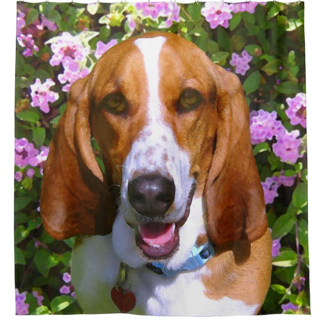 Happy Basset Hound (Front)