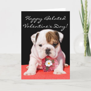 Happy beated Valentine's Day bulldog puppy card