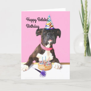 Happy Belated Birthday Boxer dog greeting card