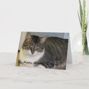 Happy Belated Birthday Card
