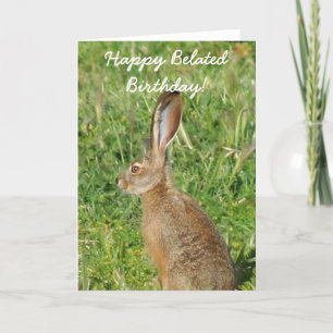 Happy Belated Birthday Jack Rabbit Greeting Card