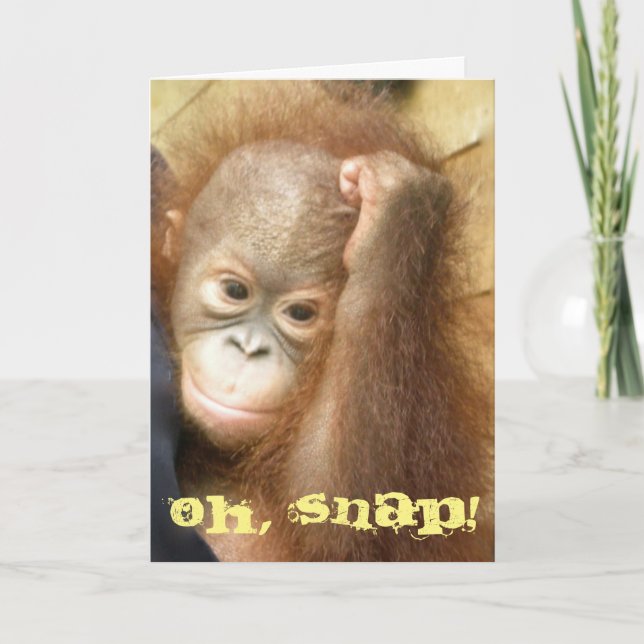 Happy Belated Birthday Oh Snap Card (Front)