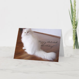 Happy Belated Birthday Persian cat greeting card