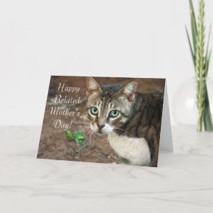 Happy Belated Mother's Day Cat greeting card