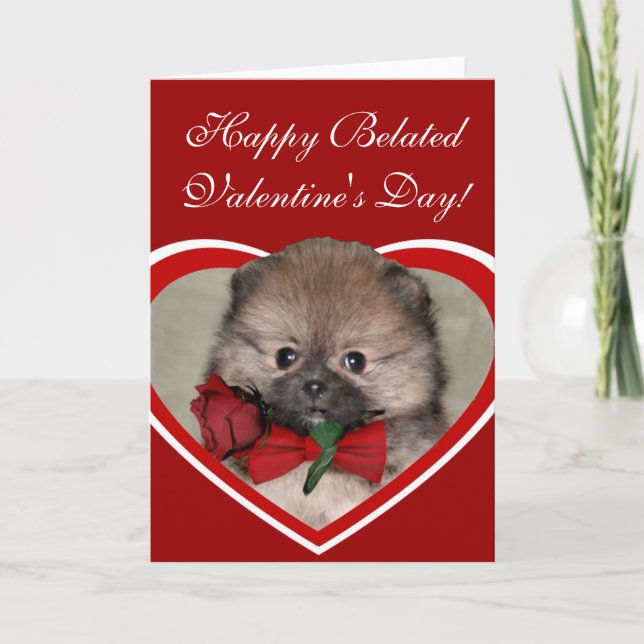 Happy Belated Valentine's Day Pomeranian  Card (Front)
