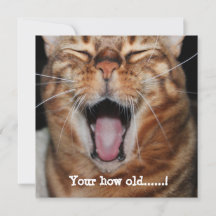 Happy Bengal Cat Birthday Card "Your how old....."