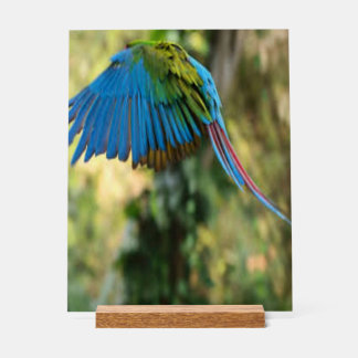 happy bird acrylic sign