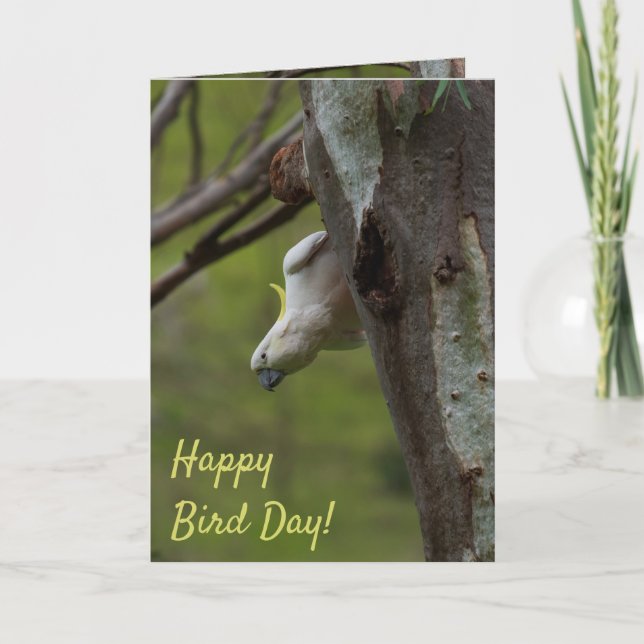 Happy Bird Day Funny Cockatoo Birthday Card (Front)