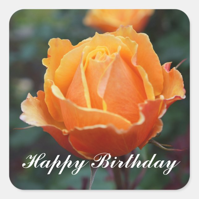 Happy Birthday About Face Rose #1 Stickers (Front)