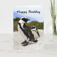 Happy Birthday African Penguins Humor Card
