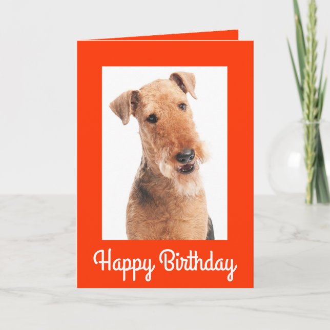 Happy Birthday Airedale Terrier Dog Greeting Card (Front)