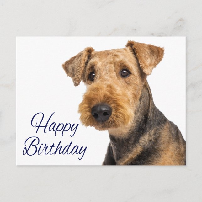 Happy Birthday Airedale Terrier Puppy Dog Blue Postcard (Front)