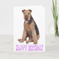 Happy Birthday Airedale Terrier Puppy Dog Card