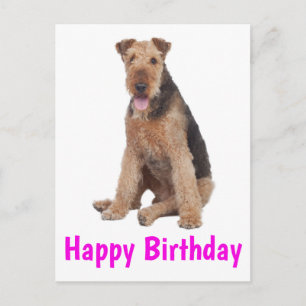 Happy Birthday Airedale Terrier Puppy Dog Purple Postcard